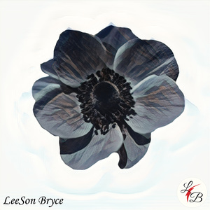 Cant Let it Go - LeeSon Bryce